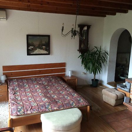 Holiday House Cervena Veza ピエシュチャニ エクステリア 写真